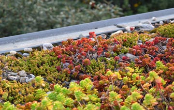 the cost of Strathwhillan green roof installation